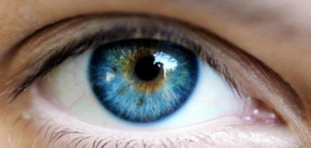 10 نصائح بسيطة لتعزيز صحة عينيك