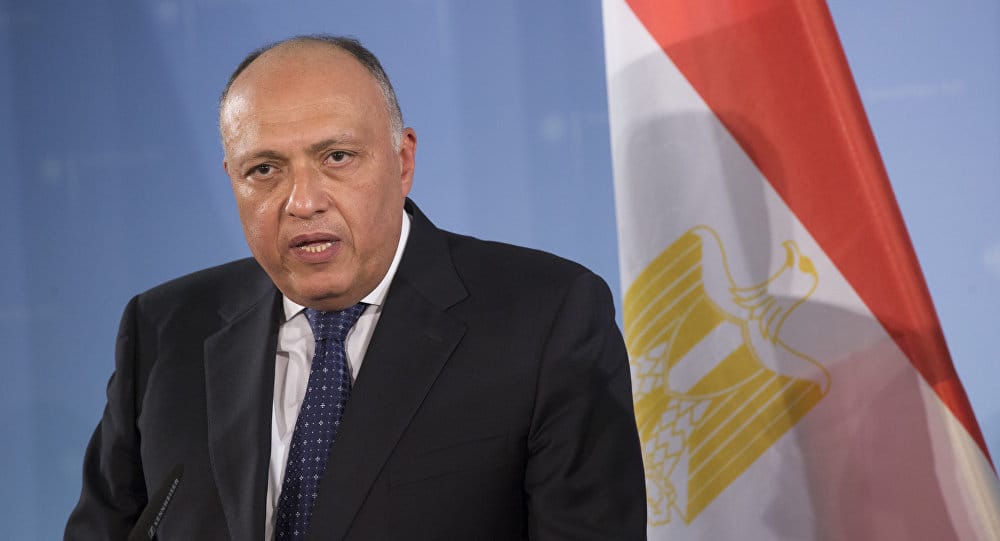 وزير خارجية مصر: إثيوبيا باتت مصدرا لبث الاضطراب في محيطها الإقليمي