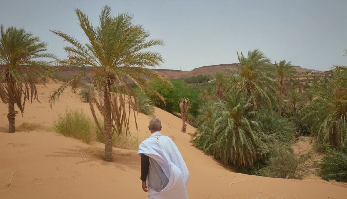 في موريتانيا... الجفاف والتصحر الناجمان عن التغيّر المناخي يجتاحان واحات النخيل