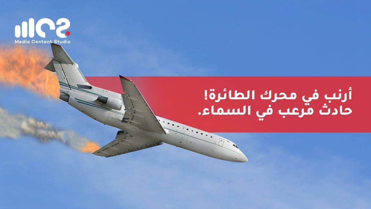 أرنب في محرك الطائرة... حادث مرعب في السماء