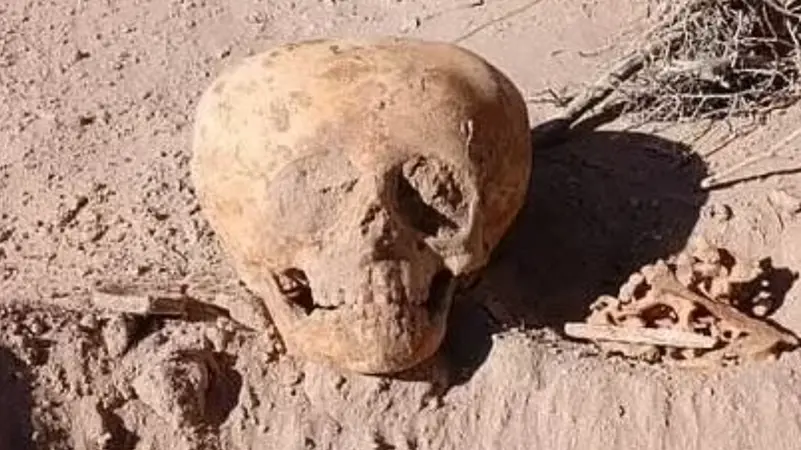تشبه كائنات من خارج الأرض.. جمجمة غامضة تربك الباحثين
