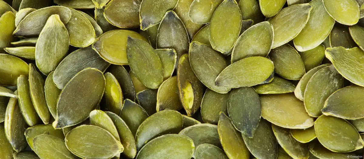 بذور اليقطين.. الخيار المثالي للوجبات الخفيفية..إليكم فوائدها