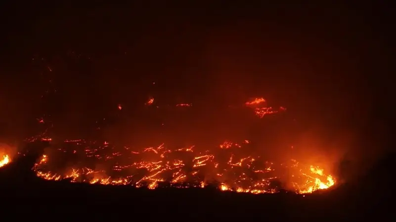حرائق متجددة تضرب ريف الساحل السوري وسط مخاوف من اتساع رقعتها